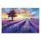 Stupell Industries Lavender Field Landscape Sunset Wall Plaque By Leon Devenice